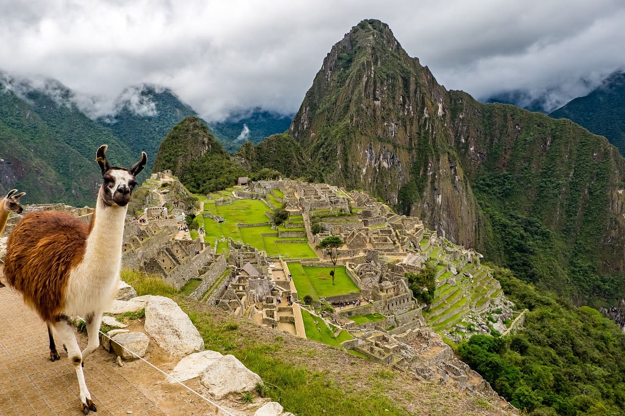 Vista de Machu Picchu, atração de maior destaque no Peru (Foto: Divulgação)