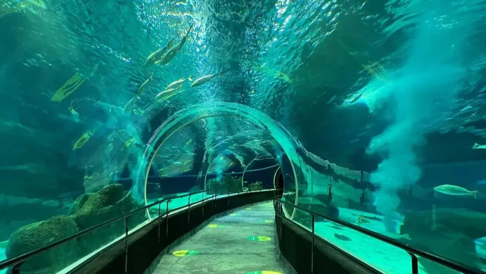 aquario-marinho-do-rio-de-janeiro-tancao-tunel-submarino AquaRio