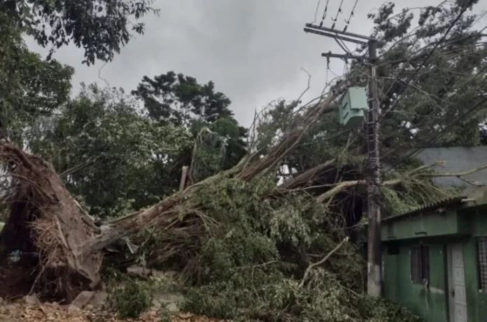 Inmet mantém alerta para ventos costeiros no Sul, com previsão de temporais a partir do fim de semana. Crédito: Divulgação/PMC Ventos