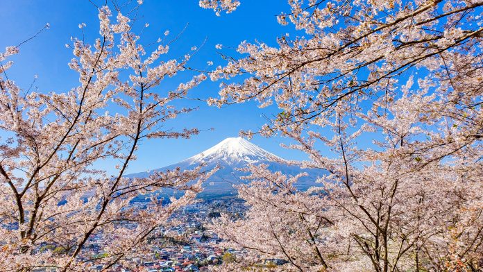 Japão ganha espaço em viagens de incentivo no Brasil, com alta na procura e novos grupos corporativos previstos para 2027.