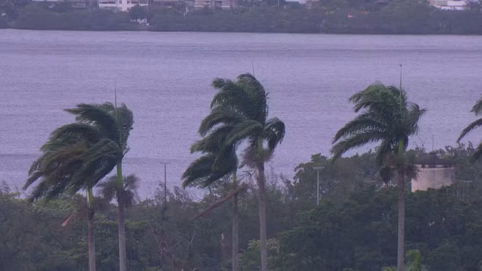 Rio de Janeiro registrou ventos de até 72,4 km/h nesta terça-feira (22), com reflexos na aviação e ocorrências em diferentes pontos da cidade. Crédito: Reprodução/TV Globo