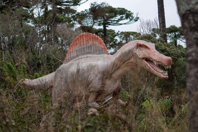Terra dos Dinos inicia pré-venda de ingressos para Campos do Jordão, com tarifas promocionais a partir de R$ 59 para públicos elegíveis. Crédito: Divulgação/Terra dos Dinos